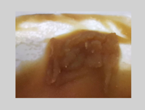 含贵金属的树脂